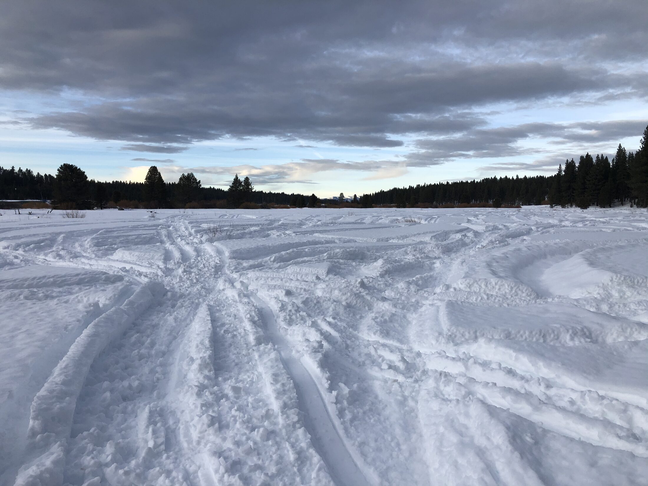 Snow-covered trail beside the lake in winter